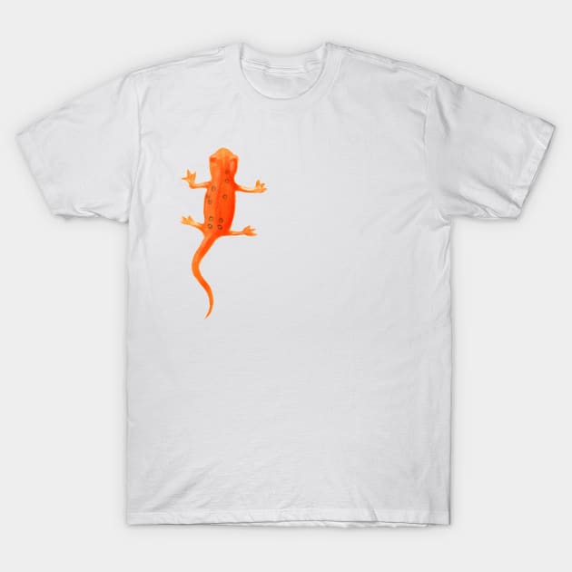 Salamander T-Shirt by melissamiddle